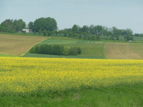 Remíz u Darkoviček