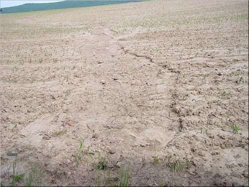 Lokalita před úpravou