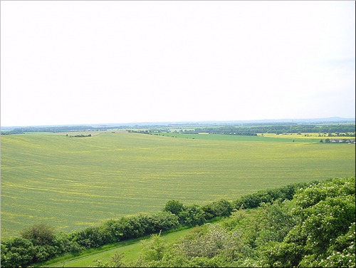 Lokalita před úpravou