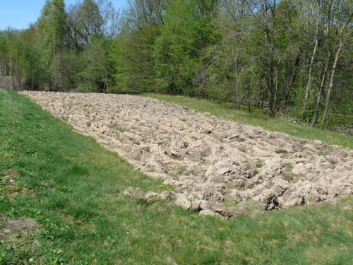 Stav na políčku před úpravou a setím jarních směsek.