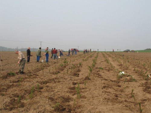  výsadba lesíku 920-2 v r. 2009