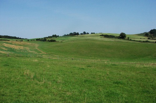 Zatravněná údolnice navazující na pastevní areál