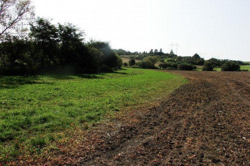 Nektarodárný biopás